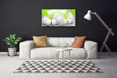 Tableaux sur toile Fleurs floral blanc