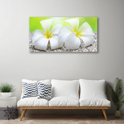 Tableaux sur toile Fleurs floral blanc