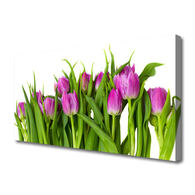 Tableaux sur toile Tulipes floral rose vert