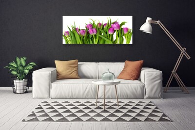 Tableaux sur toile Tulipes floral rose vert