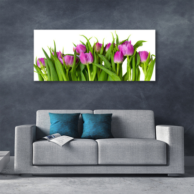 Tableaux sur toile Tulipes floral rose vert