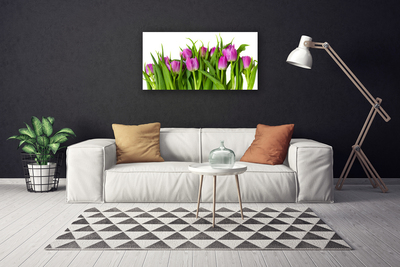 Tableaux sur toile Tulipes floral rose vert