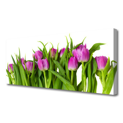 Tableaux sur toile Tulipes floral rose vert