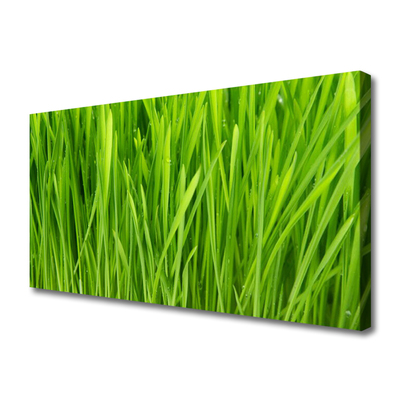 Tableaux sur toile Herbe floral vert