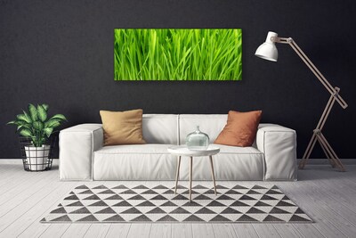 Tableaux sur toile Herbe floral vert