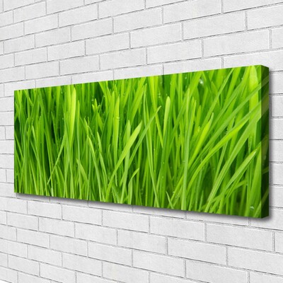 Tableaux sur toile Herbe floral vert