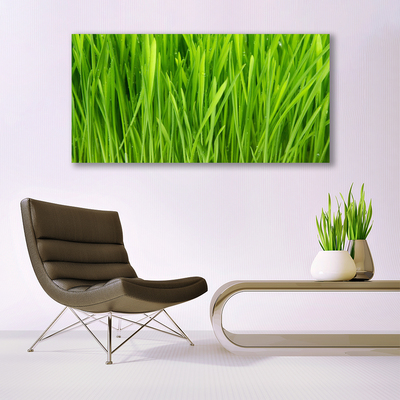 Tableaux sur toile Herbe floral vert