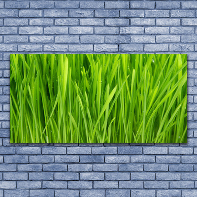 Tableaux sur toile Herbe floral vert