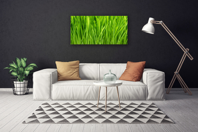 Tableaux sur toile Herbe floral vert