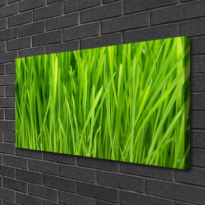 Tableaux sur toile Herbe floral vert