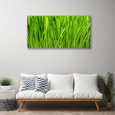 Tableaux sur toile Herbe floral vert