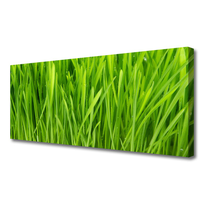 Tableaux sur toile Herbe floral vert