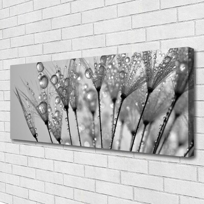 Tableaux sur toile Pissenlit floral gris