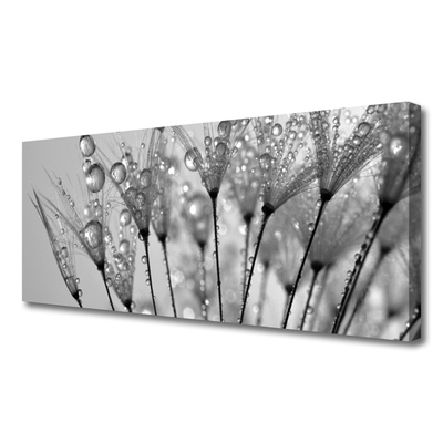 Tableaux sur toile Pissenlit floral gris