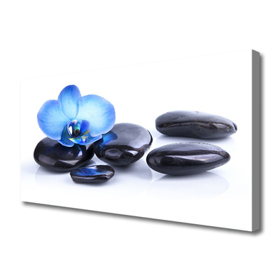 Tableaux sur toile Fleurs pierres art bleu noir