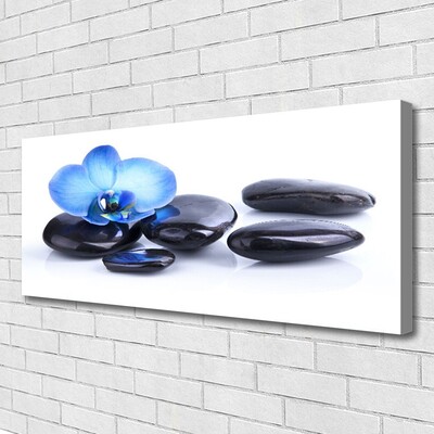 Tableaux sur toile Fleurs pierres art bleu noir