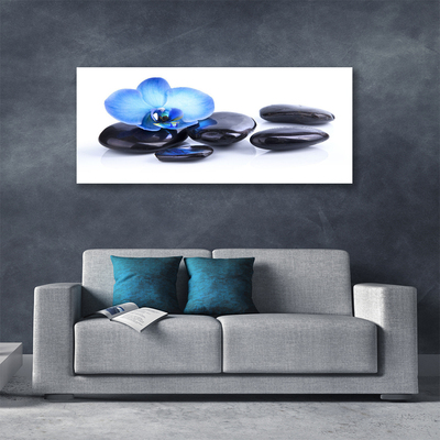 Tableaux sur toile Fleurs pierres art bleu noir