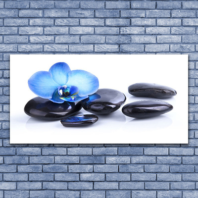 Tableaux sur toile Fleurs pierres art bleu noir