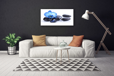 Tableaux sur toile Fleurs pierres art bleu noir