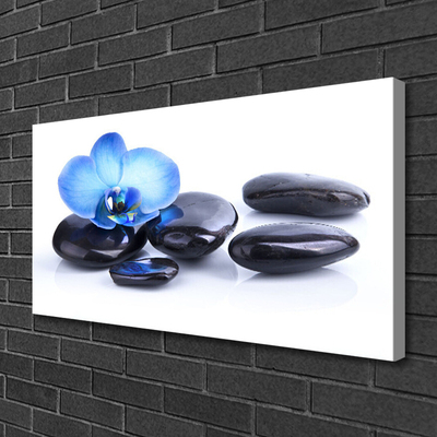 Tableaux sur toile Fleurs pierres art bleu noir