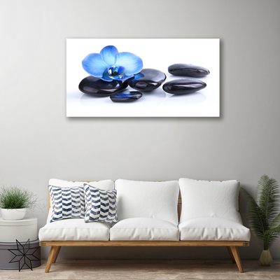 Tableaux sur toile Fleurs pierres art bleu noir