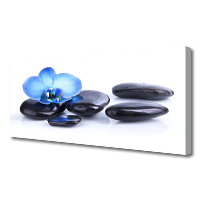 Tableaux sur toile Fleurs pierres art bleu noir