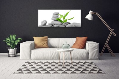 Tableaux sur toile Feuilles pierres art gris vert