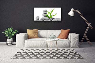 Tableaux sur toile Feuilles pierres art gris vert