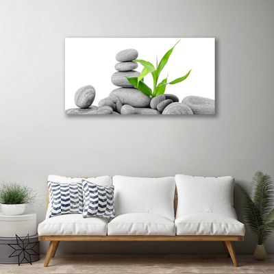 Tableaux sur toile Feuilles pierres art gris vert