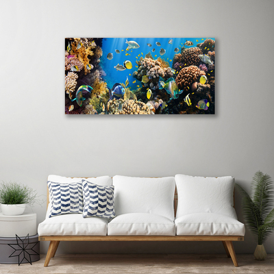 Tableaux sur toile Récif de corail nature multicolore