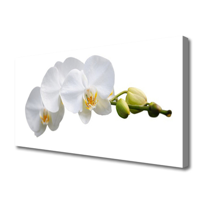 Tableaux sur toile Fleurs floral blanc