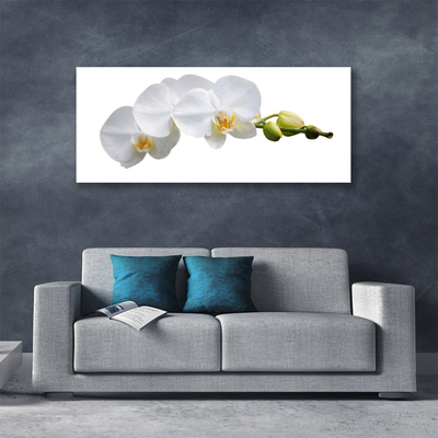 Tableaux sur toile Fleurs floral blanc