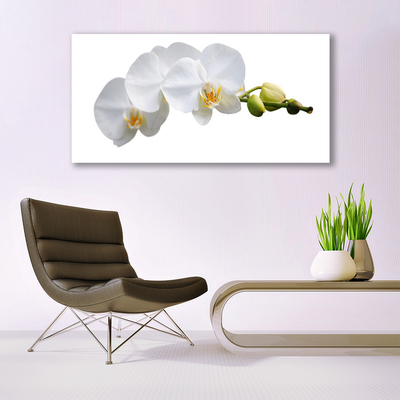 Tableaux sur toile Fleurs floral blanc