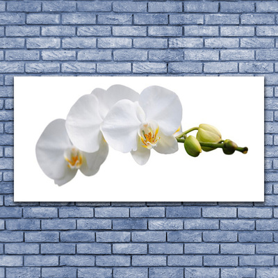 Tableaux sur toile Fleurs floral blanc