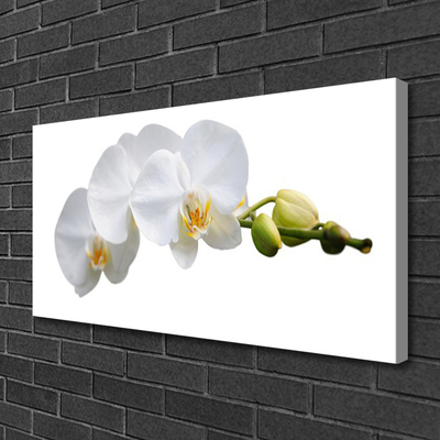 Tableaux sur toile Fleurs floral blanc