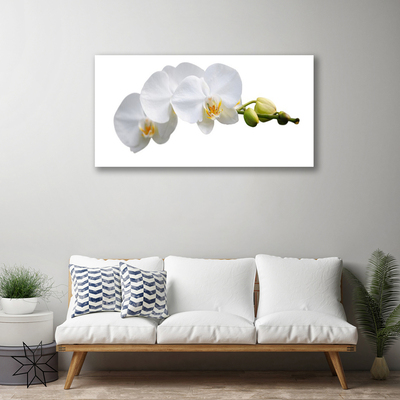 Tableaux sur toile Fleurs floral blanc