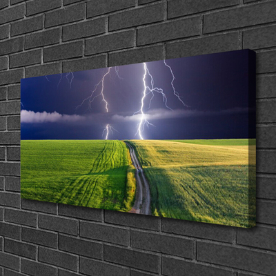 Tableaux sur toile Champ chemin foudre paysage gris vert violet blanc