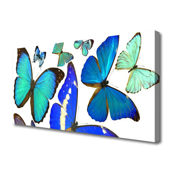 Tableaux sur toile Papillon nature bleu noir violet