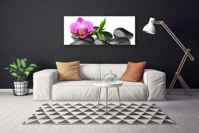 Tableaux sur toile Pierres fleurs art rose noir