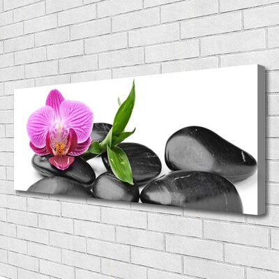 Tableaux sur toile Pierres fleurs art rose noir