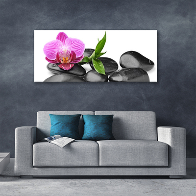 Tableaux sur toile Pierres fleurs art rose noir