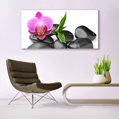 Tableaux sur toile Pierres fleurs art rose noir