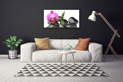 Tableaux sur toile Pierres fleurs art rose noir