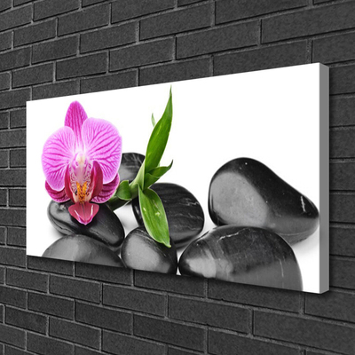 Tableaux sur toile Pierres fleurs art rose noir