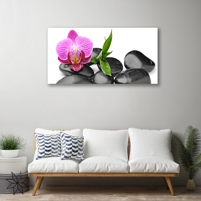 Tableaux sur toile Pierres fleurs art rose noir