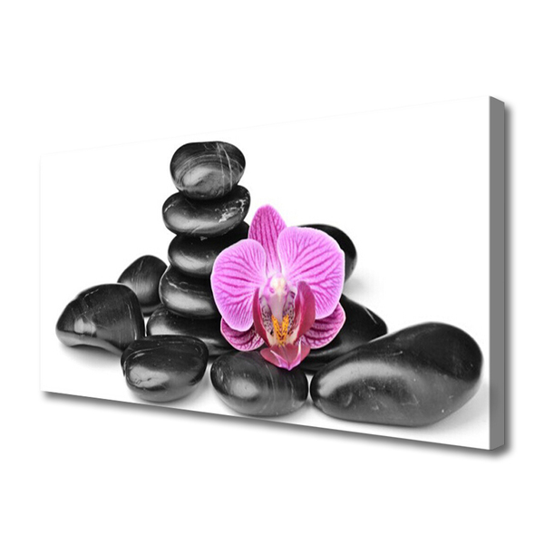 Tableaux sur toile Fleurs pierres art rose noir