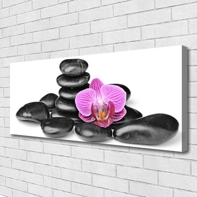 Tableaux sur toile Fleurs pierres art rose noir