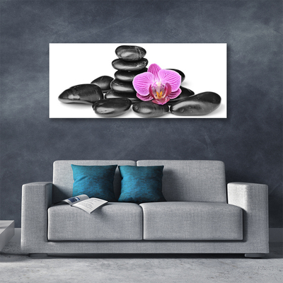 Tableaux sur toile Fleurs pierres art rose noir