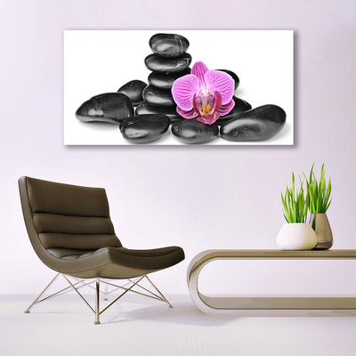 Tableaux sur toile Fleurs pierres art rose noir