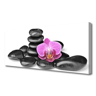 Tableaux sur toile Fleurs pierres art rose noir